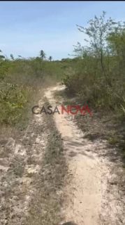 Fazenda com 170 tarefas em Riachão do Dantas