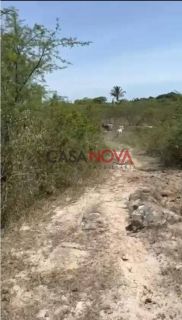 Fazenda com 170 tarefas em Riachão do Dantas