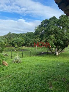Fazenda com 72,5 tarefas em Itaporanga D'Ajuda