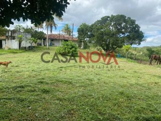 Fazenda com 72,5 tarefas em Itaporanga D'Ajuda