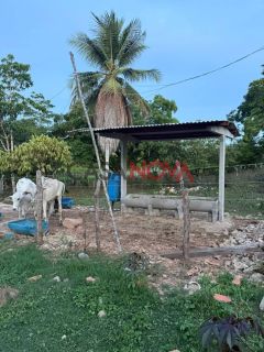 Fazenda com 72,5 tarefas em Itaporanga D'Ajuda