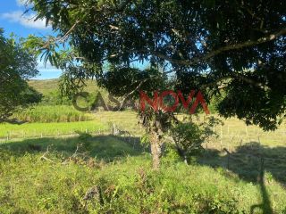 Fazenda com 72,5 tarefas em Itaporanga D'Ajuda