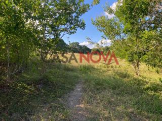 Fazenda com 72,5 tarefas em Itaporanga D'Ajuda
