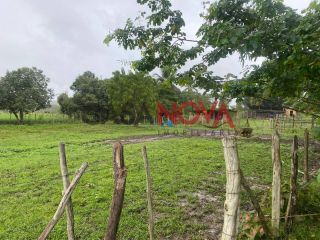 Fazenda com 72,5 tarefas em Itaporanga D'Ajuda