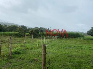 Fazenda com 72,5 tarefas em Itaporanga D'Ajuda