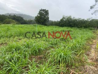 Fazenda com 72,5 tarefas em Itaporanga D'Ajuda