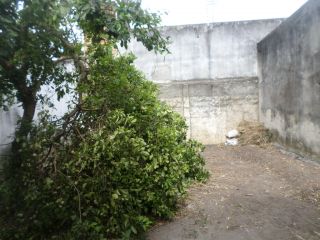 Casa na 13 de Julho com grande área