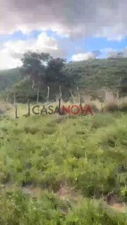 Fazenda com 135 tarefas em Malhador