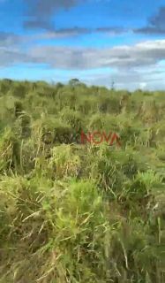 Fazenda com 135 tarefas em Malhador