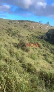 Fazenda com 135 tarefas em Malhador