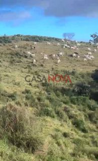 Fazenda com 135 tarefas em Malhador