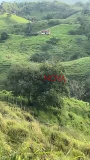 Fazenda com 135 tarefas em Malhador