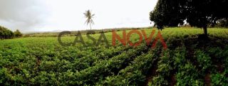 Sítio com 24 hectares