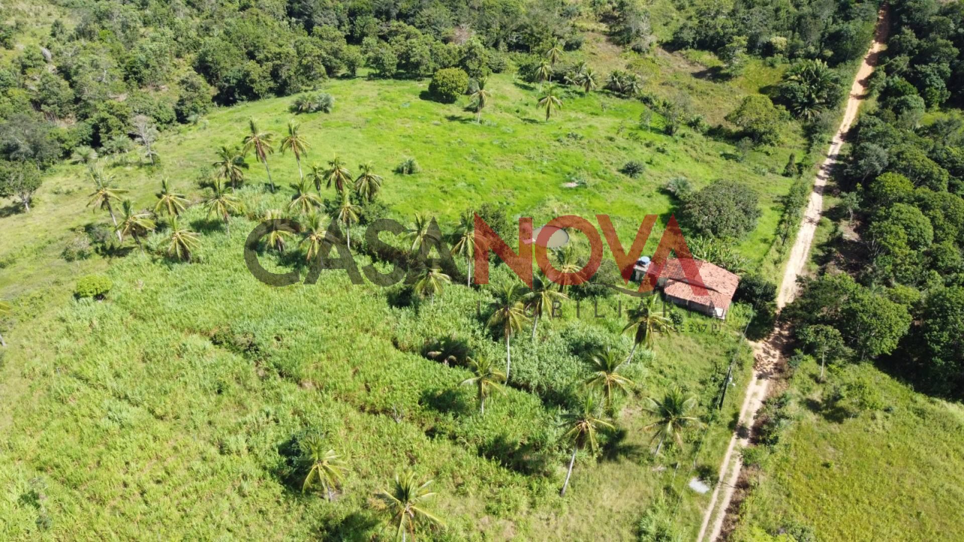 Sitio com 38 tarefas em Itaporanga