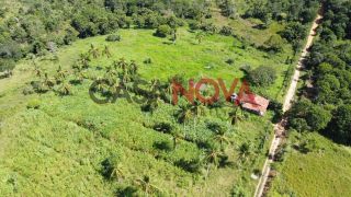 Sitio com 38 tarefas em Itaporanga