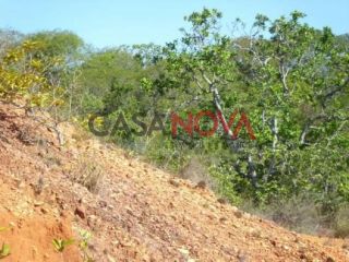 Terreno com 19 tarefas em São Cristovão