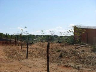 Terreno em São Cristovão