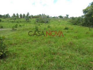 Fazenda com 286 tarefas em Estância