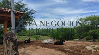 Vendo propriedade Zona Rural