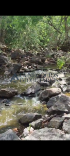 Vendo propriedade Zona Rural