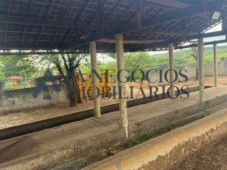 Vendo propriedade Zona Rural