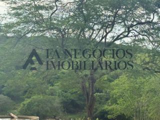 Vendo propriedade Zona Rural