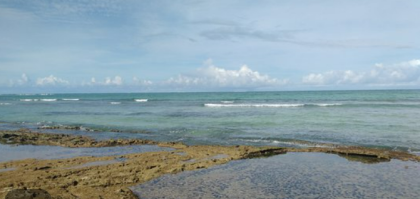 Vendo apartamento novo e pronto para morar ou investir, no Terrazza, na praia de Tamandaré.