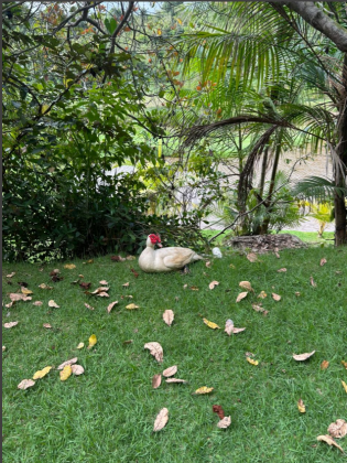 Invista ou construa no Alphaville Pernambuco 1, em um terreno diferenciado e lindo!