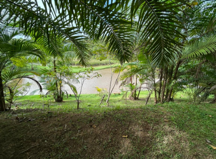 Invista ou construa no Alphaville Pernambuco 1, em um terreno diferenciado e lindo!