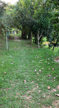 Invista ou construa no Alphaville Pernambuco 1, em um terreno diferenciado e lindo!