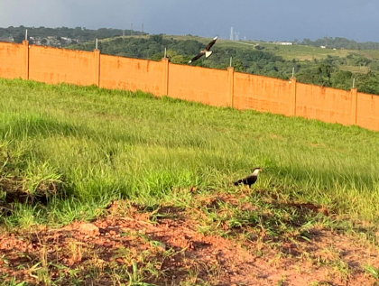 Invista ou construa no Alphaville Pernambuco 1, em um terreno diferenciado e lindo!