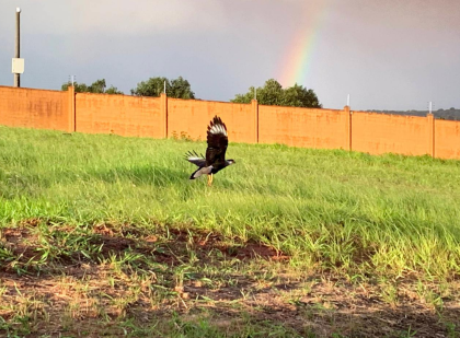Invista ou construa no Alphaville Pernambuco 1, em um terreno diferenciado e lindo!