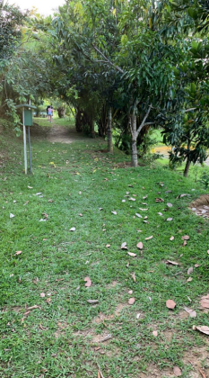 Invista ou construa no Alphaville Pernambuco 1, em um terreno diferenciado e lindo!