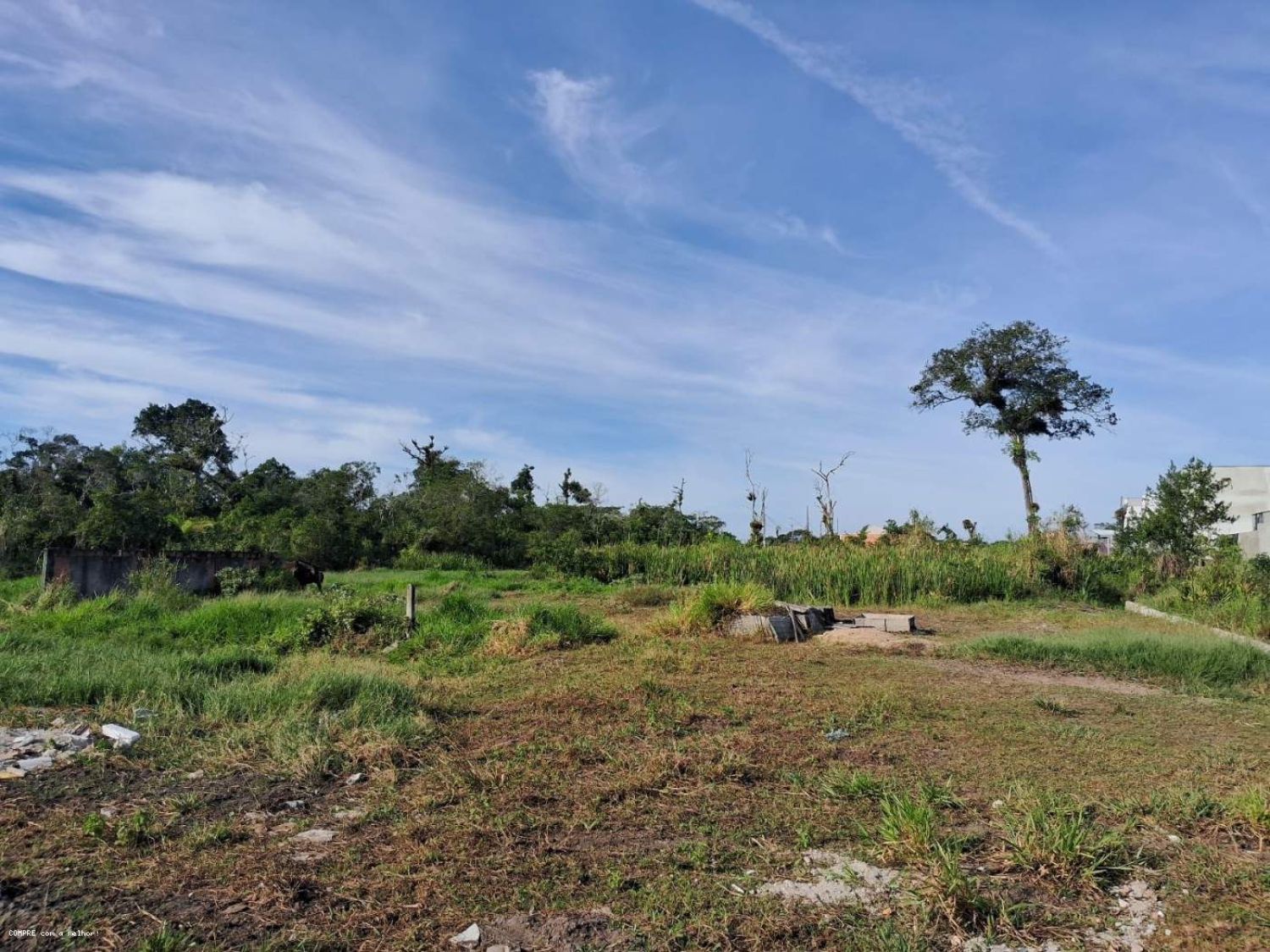 Terreno no bairro Cohapar