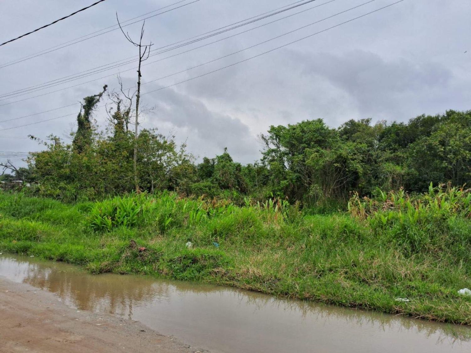 Terreno no bairro Vila Esperança