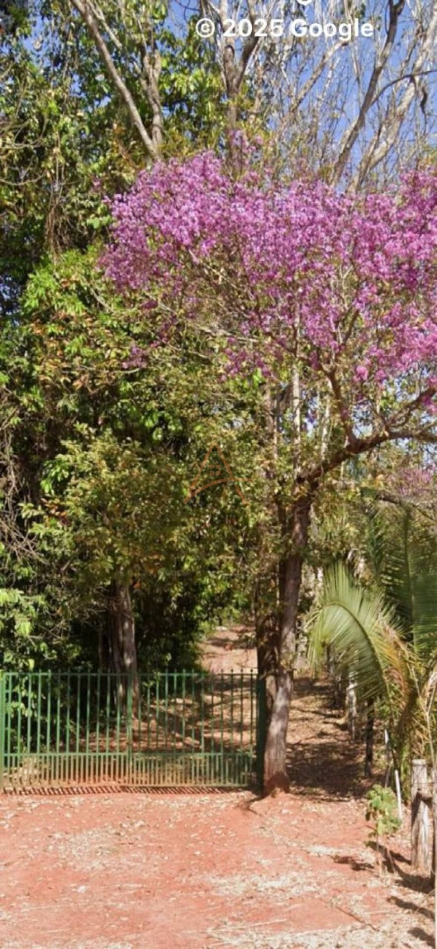 Chácara Para Vender com 2 quartos no bairro Rodovia do Peixe em Rondonópolis
