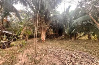 Chácara Para Vender com 2 quartos no bairro Rodovia do Peixe em Rondonópolis