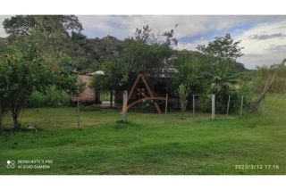 Chácara Para Vender com 2 quartos no bairro Rodovia do Peixe em Rondonópolis