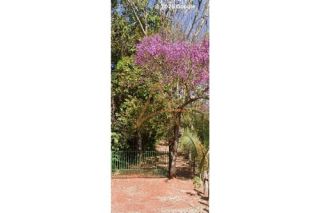 Chácara Para Vender com 2 quartos no bairro Rodovia do Peixe em Rondonópolis