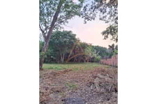 Chácara Para Vender com 2 quartos no bairro Rodovia do Peixe em Rondonópolis