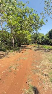 Chácara Para Vender com 2 quartos no bairro Sítio de Recreio Recanto Maria Flávia em Rondonópolis