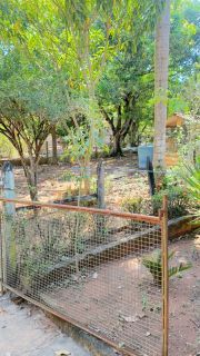 Chácara Para Vender com 2 quartos no bairro Sítio de Recreio Recanto Maria Flávia em Rondonópolis