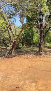 Chácara Para Vender com 2 quartos no bairro Sítio de Recreio Recanto Maria Flávia em Rondonópolis