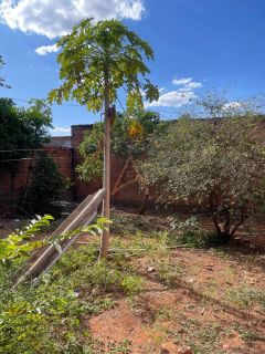 Casa à Venda no Jardim Reis!