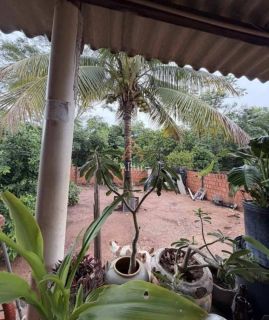 CASA À VENDA – BAIRRO NOVA ERA | RONDONÓPOLIS/MT