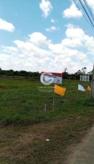 Lote Comercial Para Vender em Palmeira Dos índios