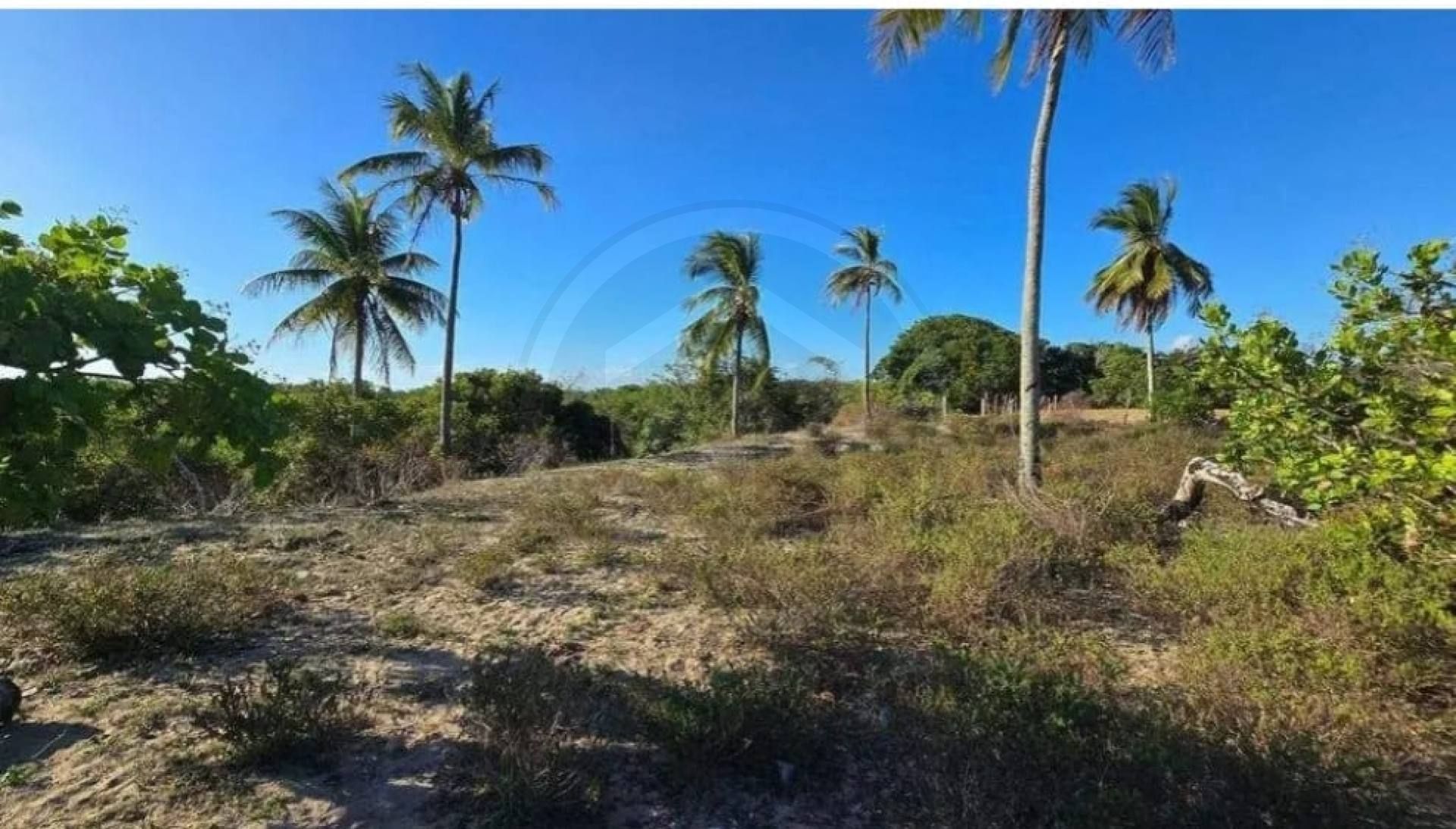LOTE Á VENDA NO MOSQUEIRO