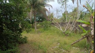 CHÁCARA NO POVOADO SAPÊ – ITAPORANGA – ESPAÇO, CONFORTO E NATUREZA