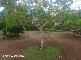 Condomínio Vale das Garças