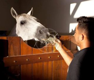 LOTE NO FAZENDA REAL 2